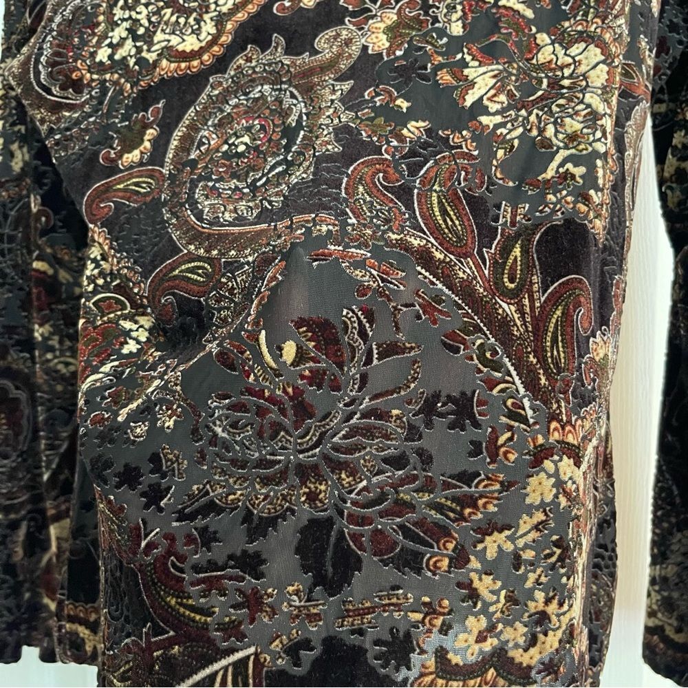 Women's Paisley Velvet Long Sleeve Blouse - Picture 9 of 10
